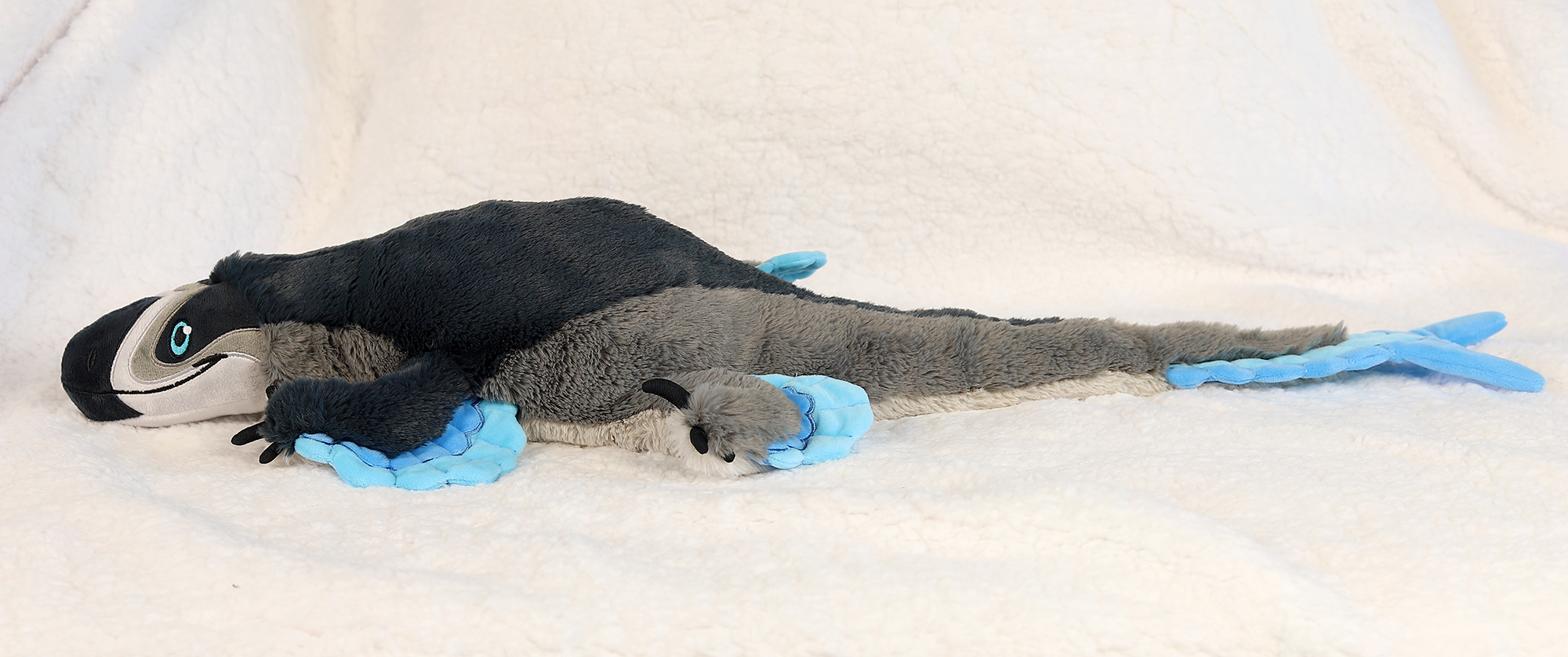 Maddox the Microraptor