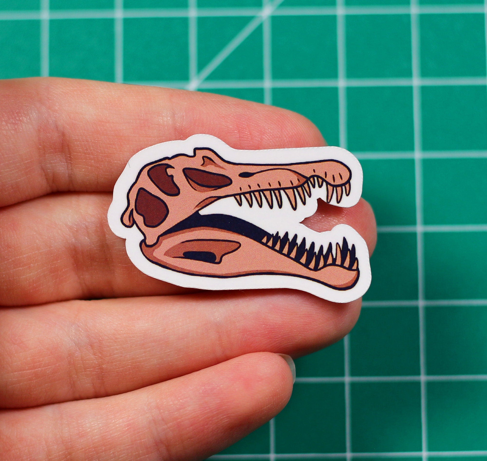 Dinosaur Skulls Vinyl Stickers
