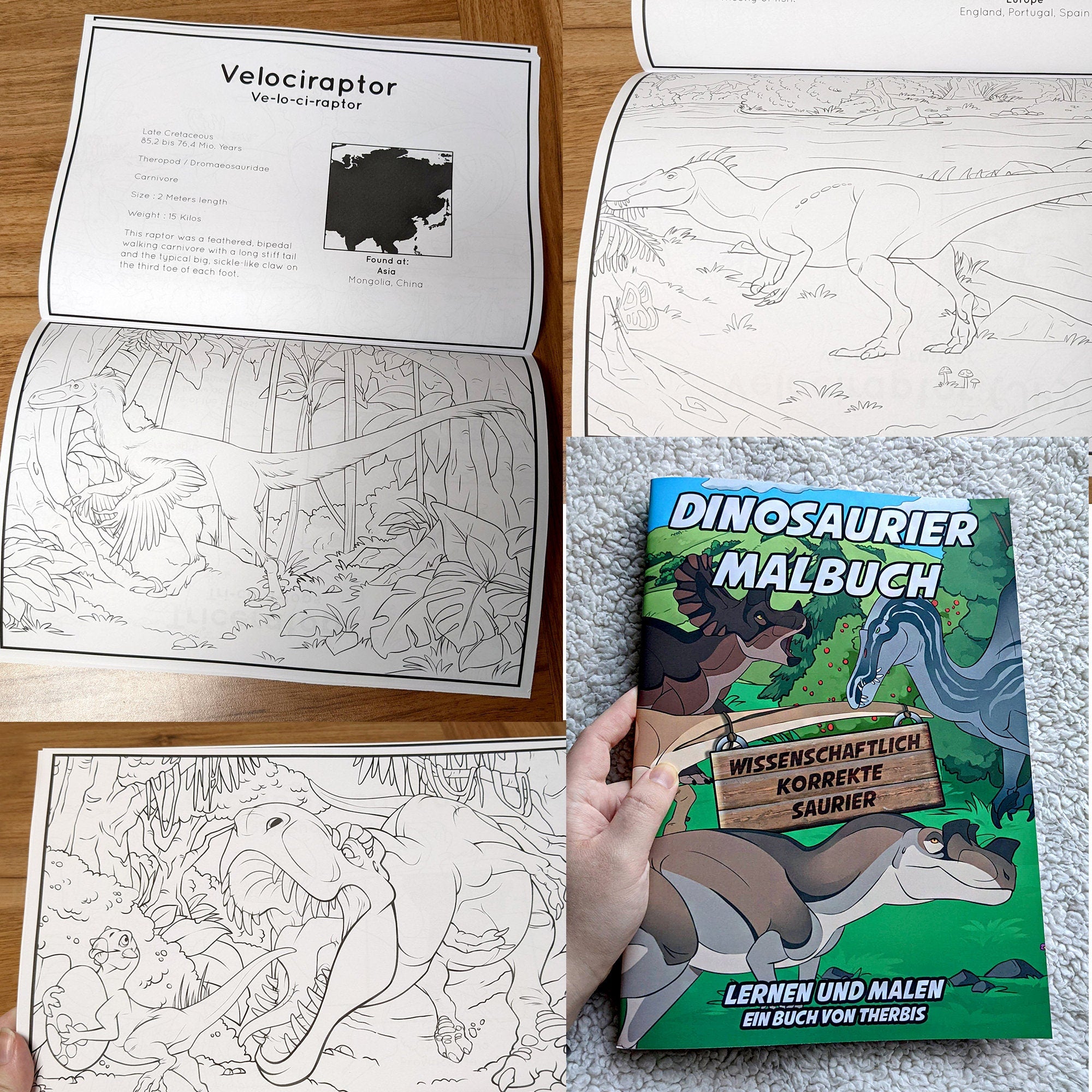 Dinosaur Coloring Book