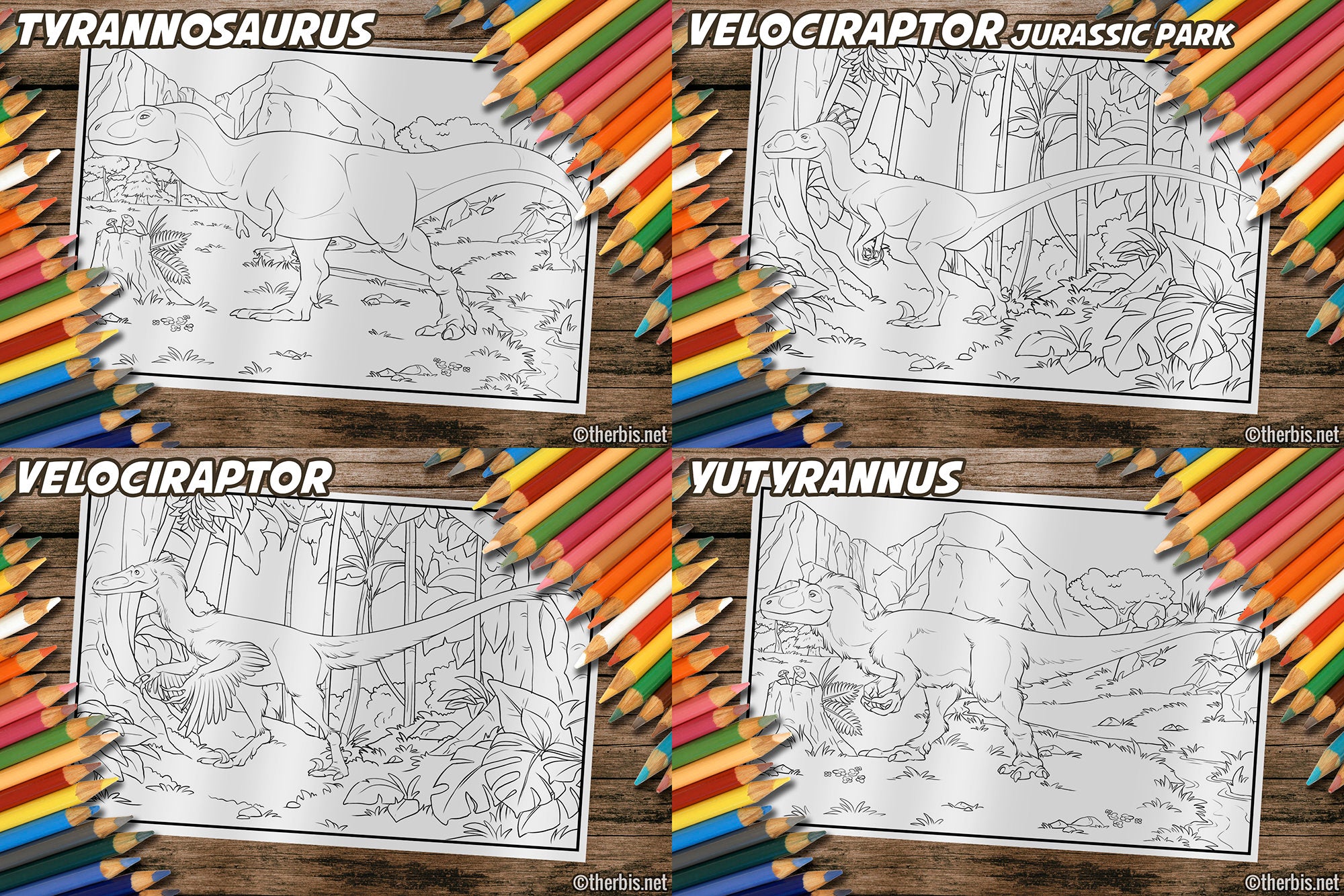 Dinosaur Coloring Book
