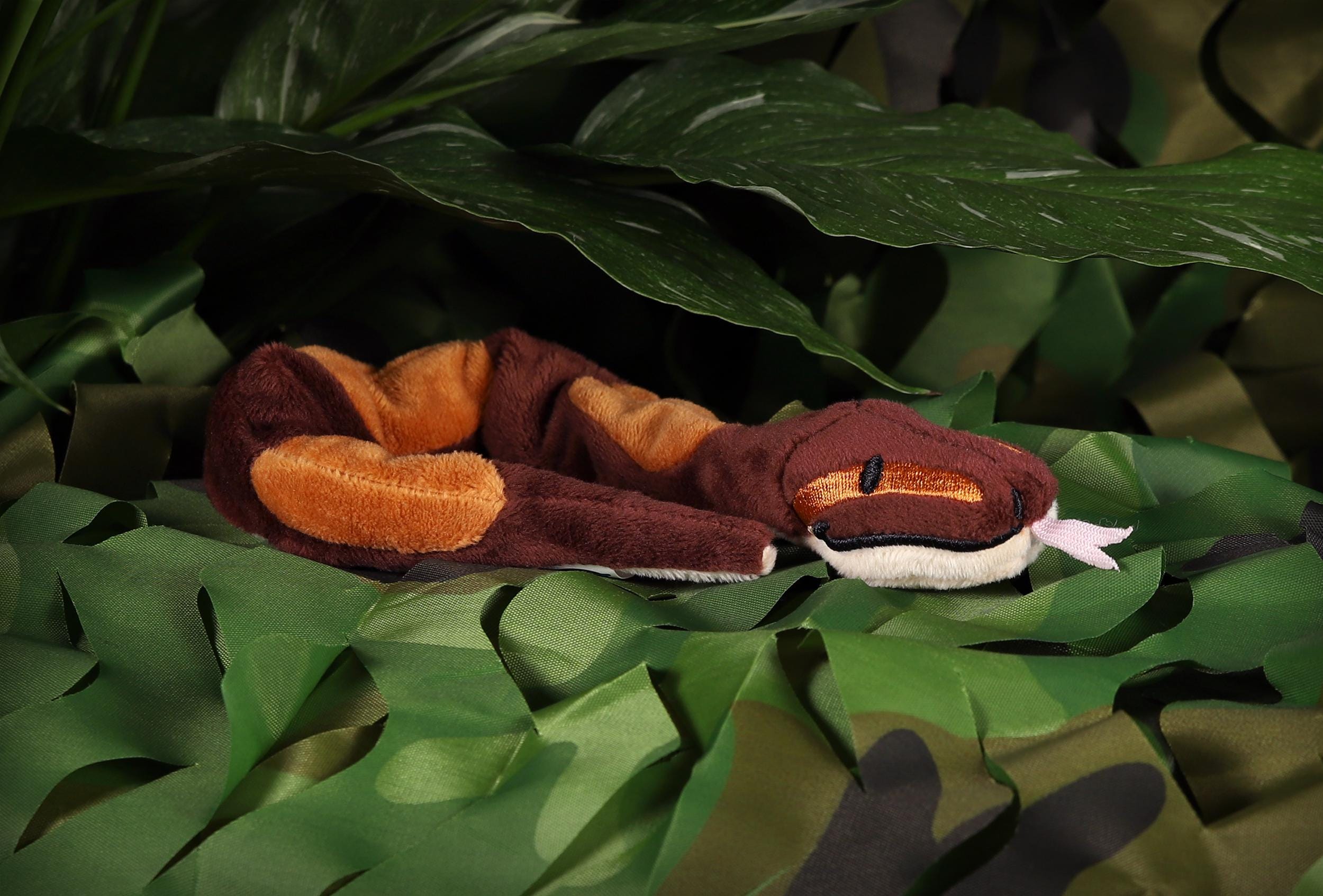 Bobby the Ballpython