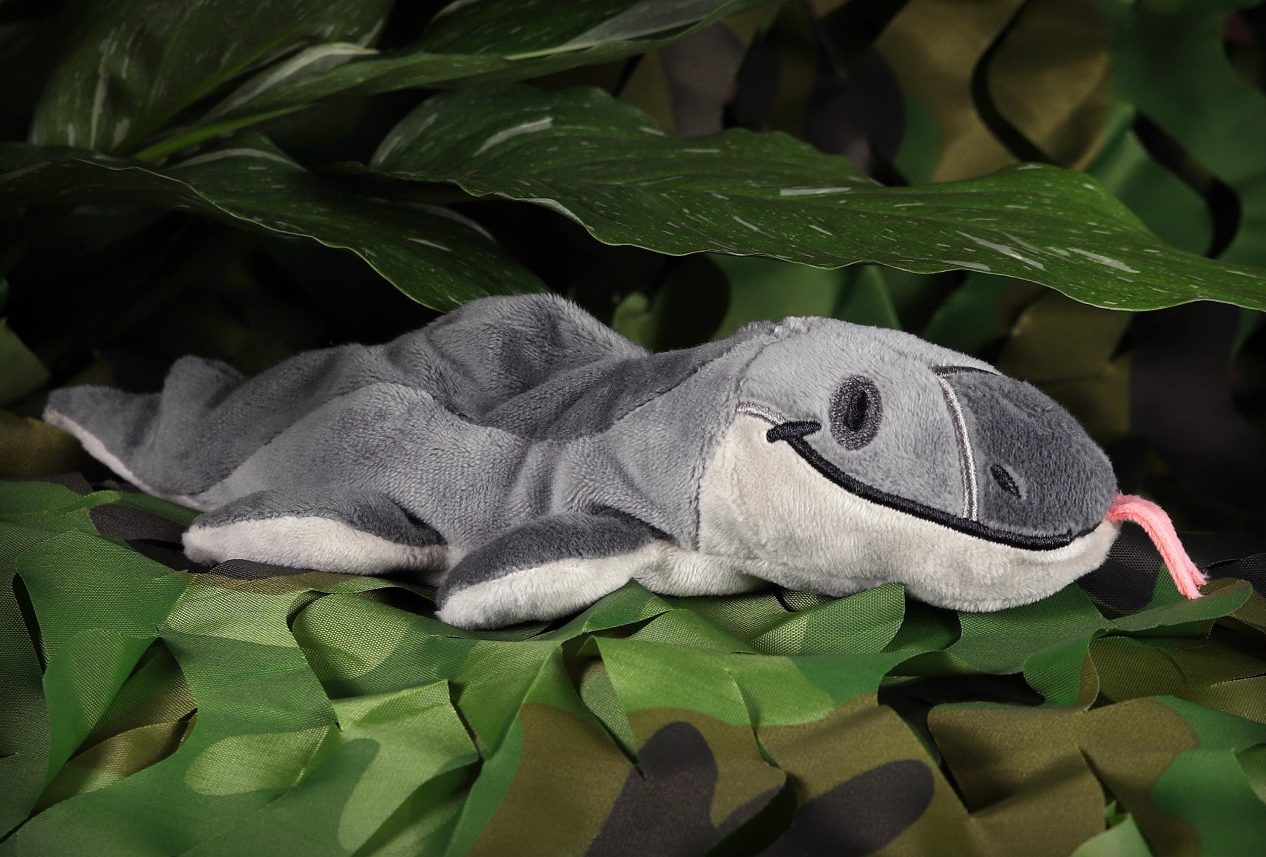 Monty the Mosasaurus