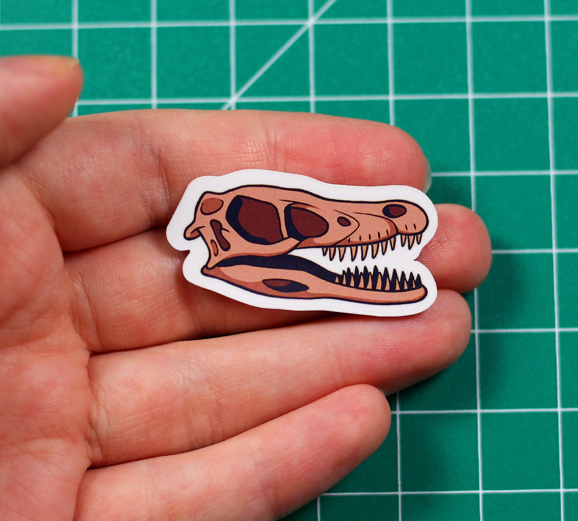Dinosaur Skulls Vinyl Stickers