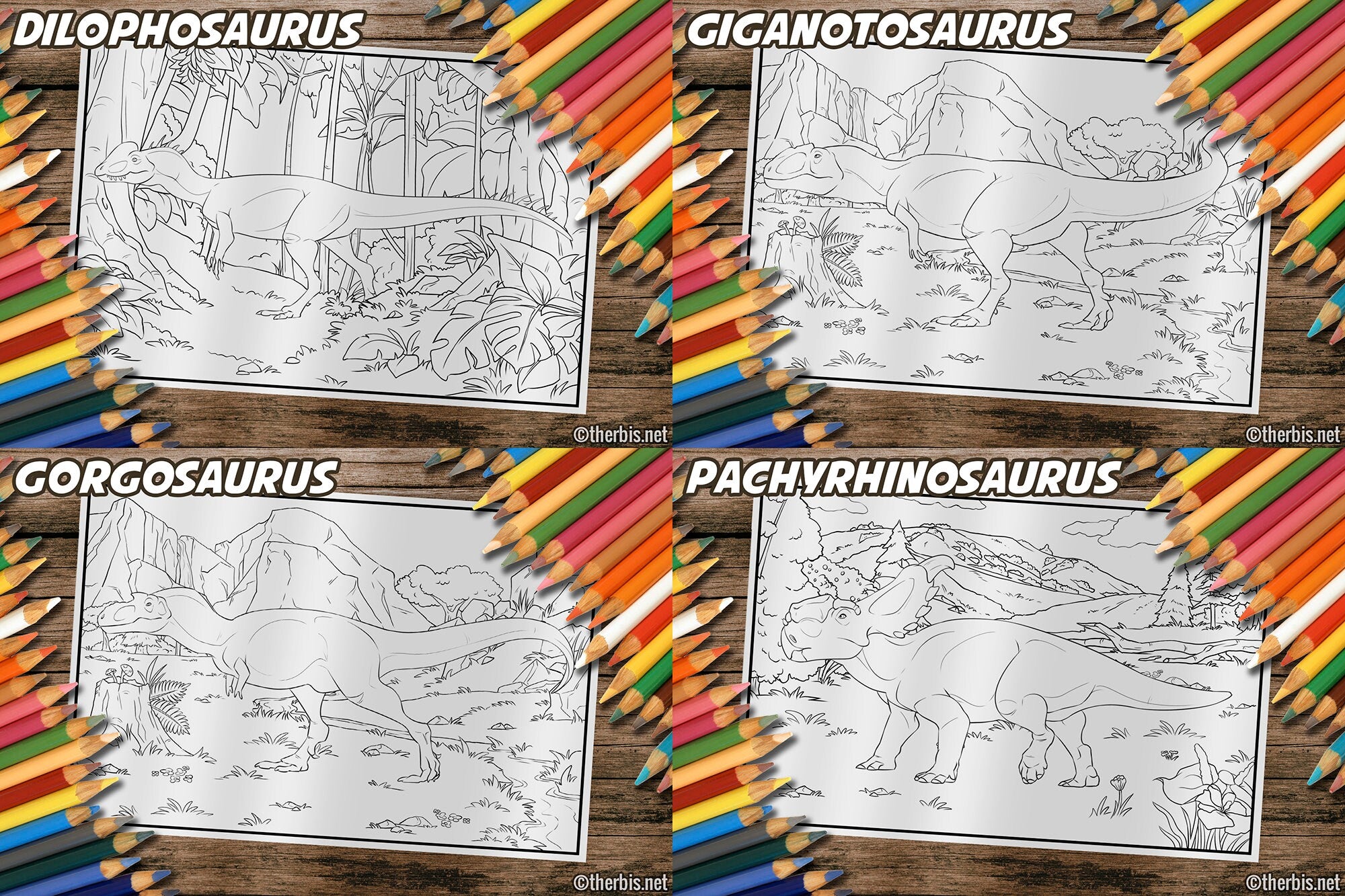 Dinosaur Coloring Book