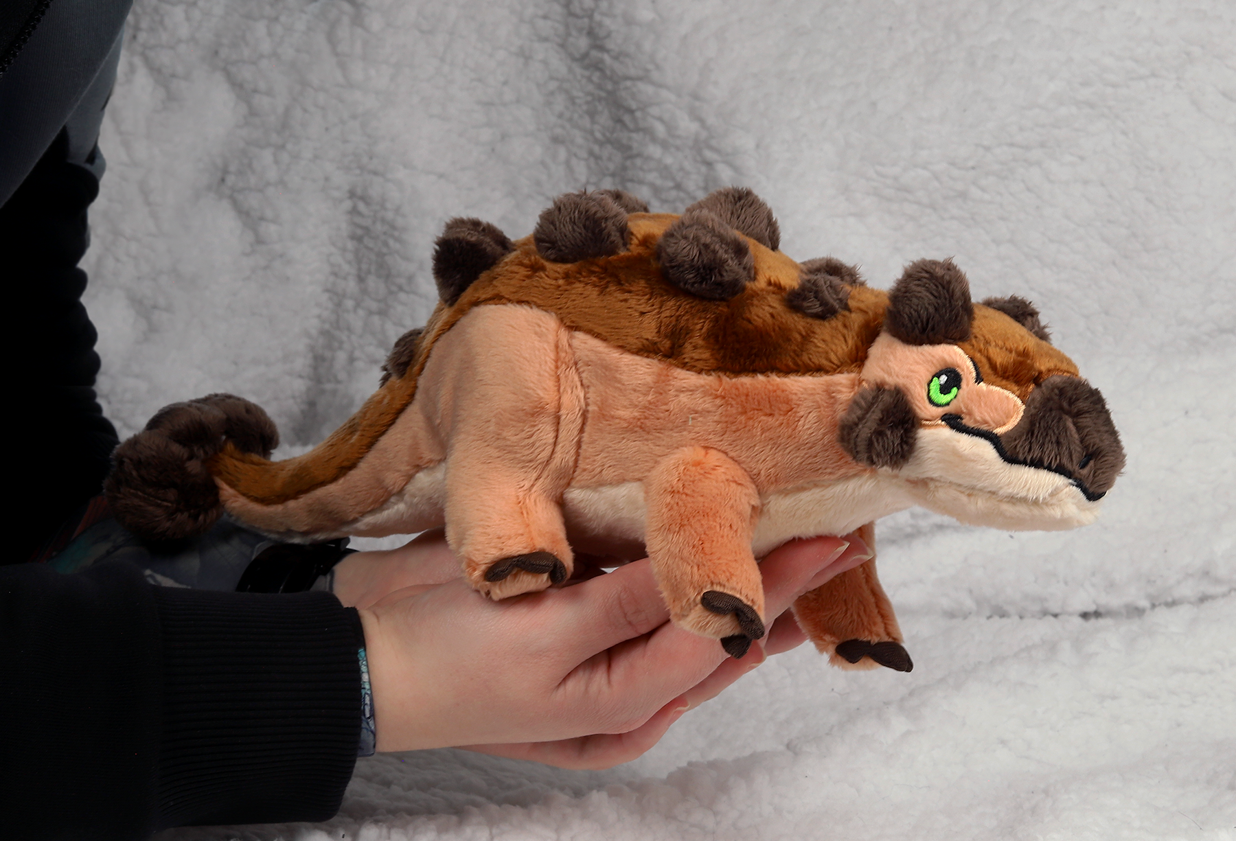 Angus the Ankylosaurus