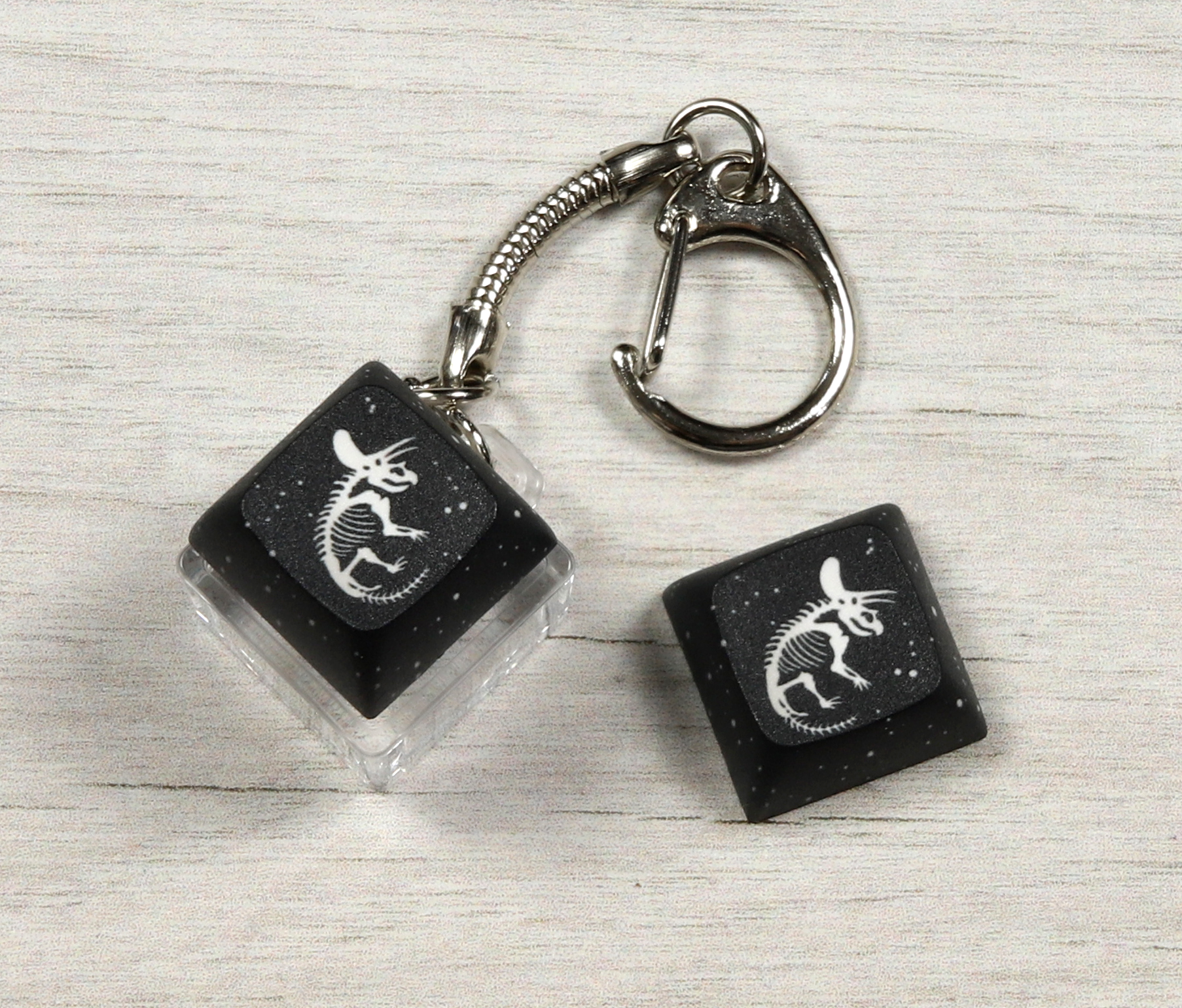 Triceratops Skeleton Clicky Keychain