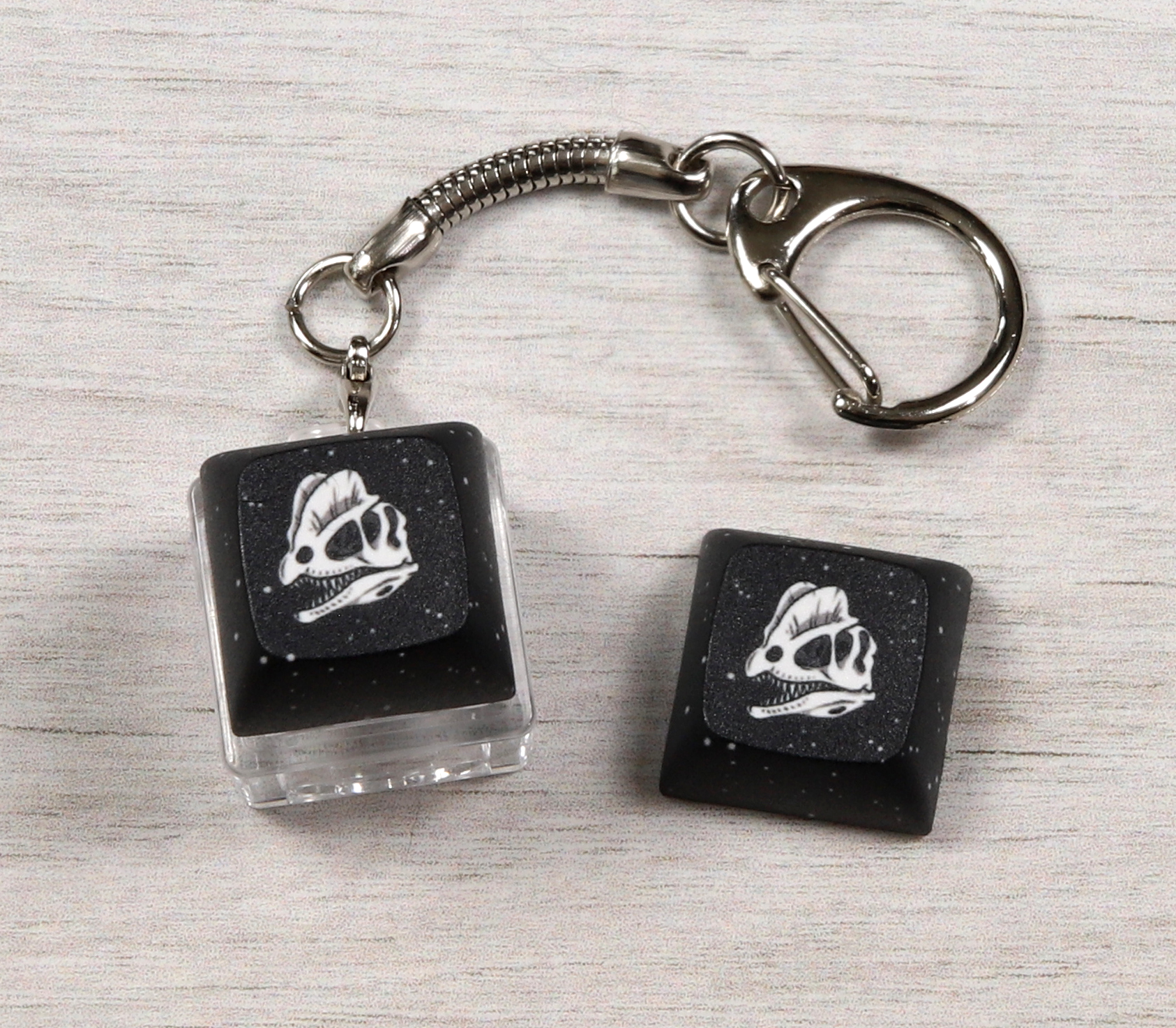 Dilophosaurus Skull Clicky Keychain
