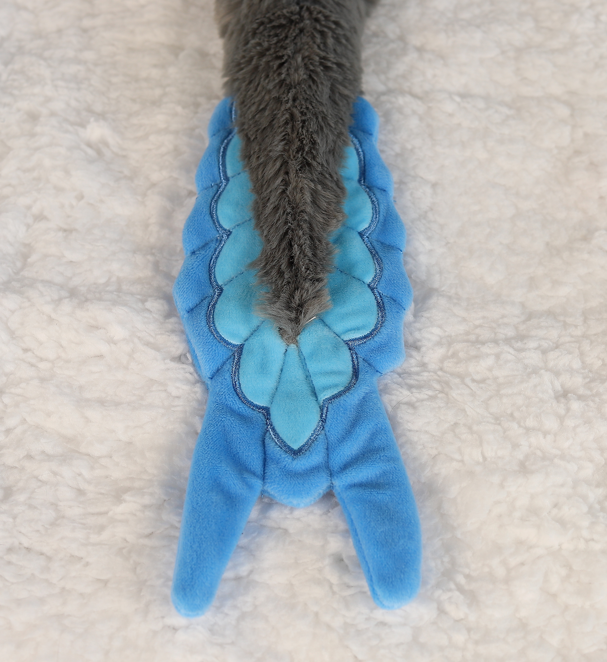 Maddox the Microraptor