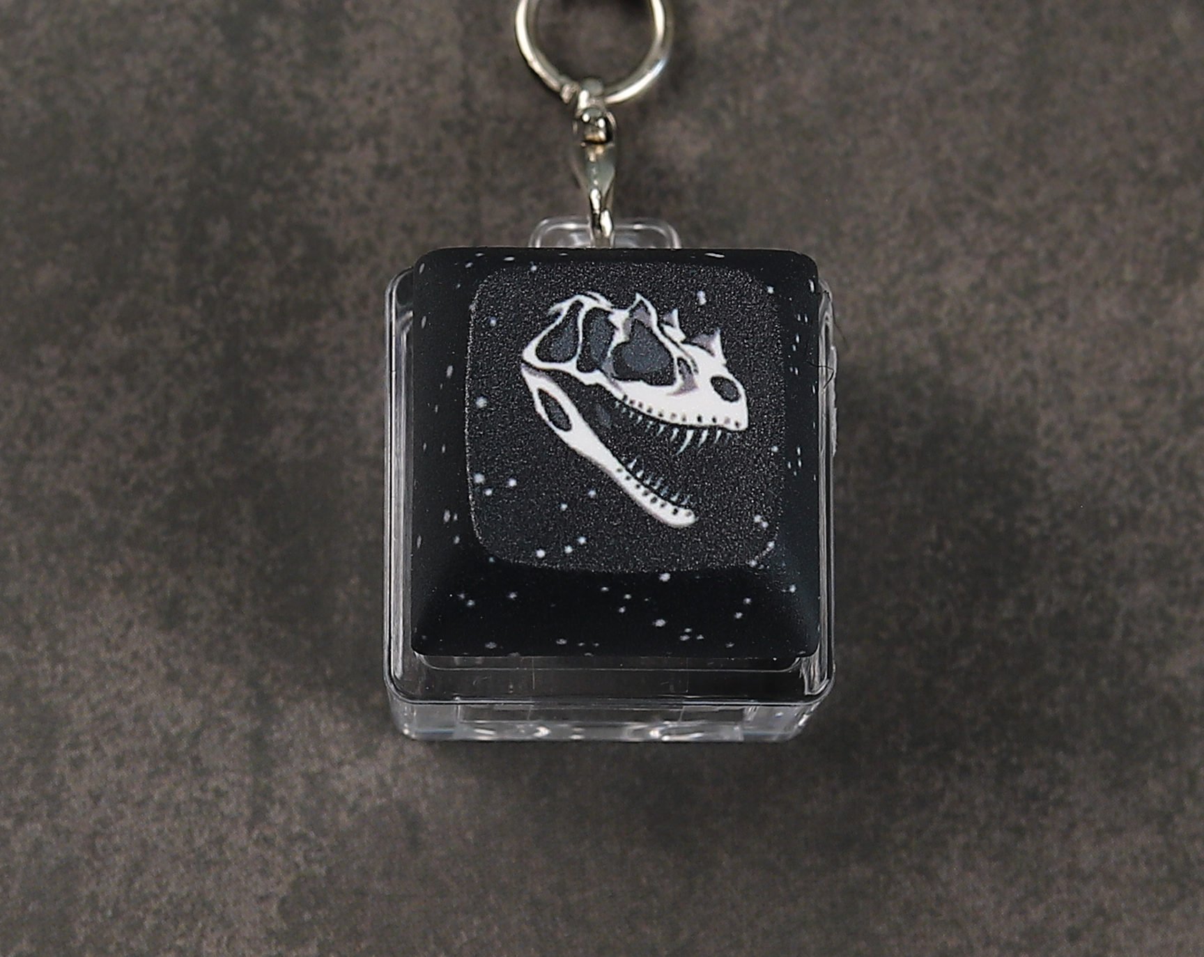 Ceratosaurus Skull Clicky Keychain