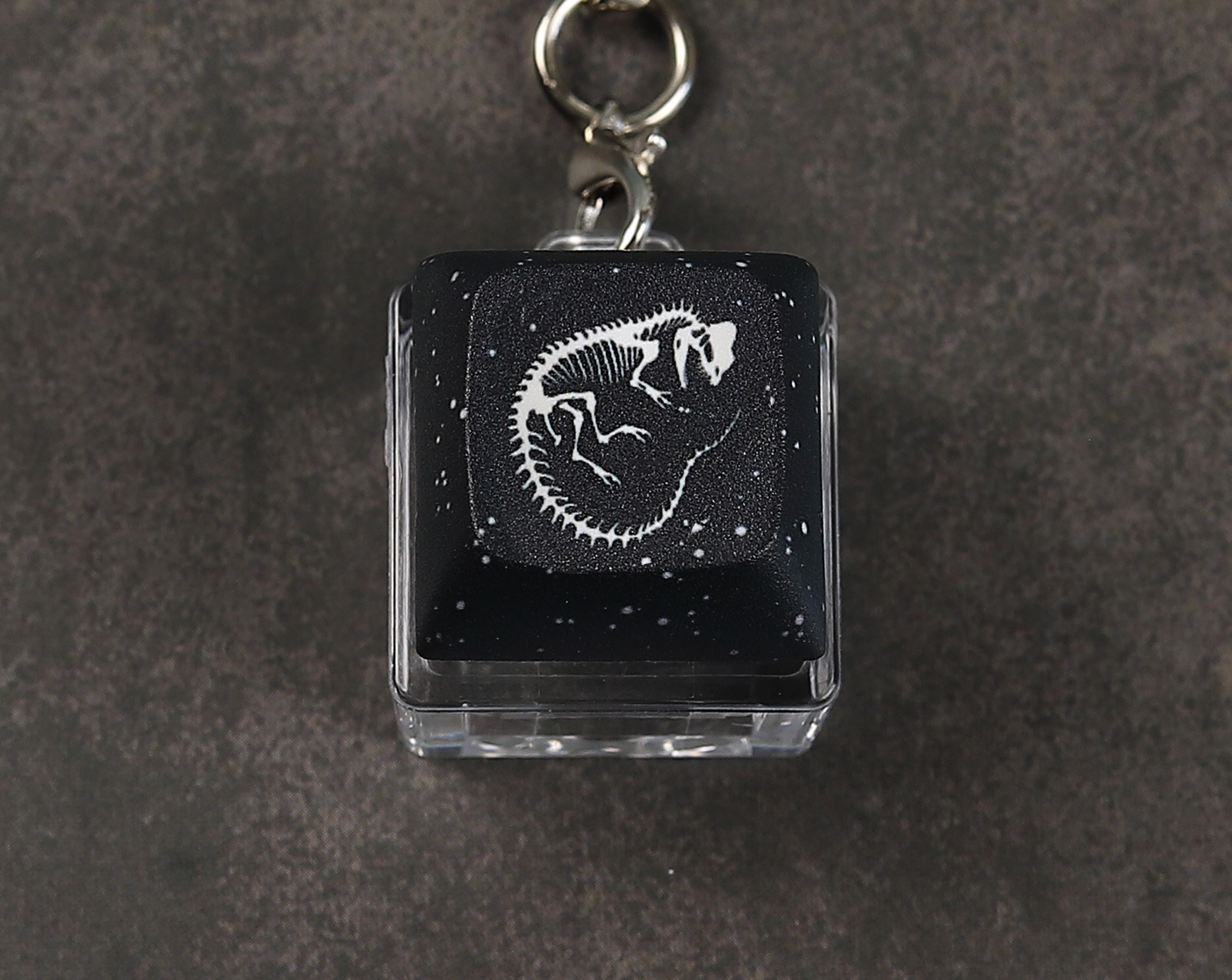 Dilophosaurus Skeleton Clicky Keychain