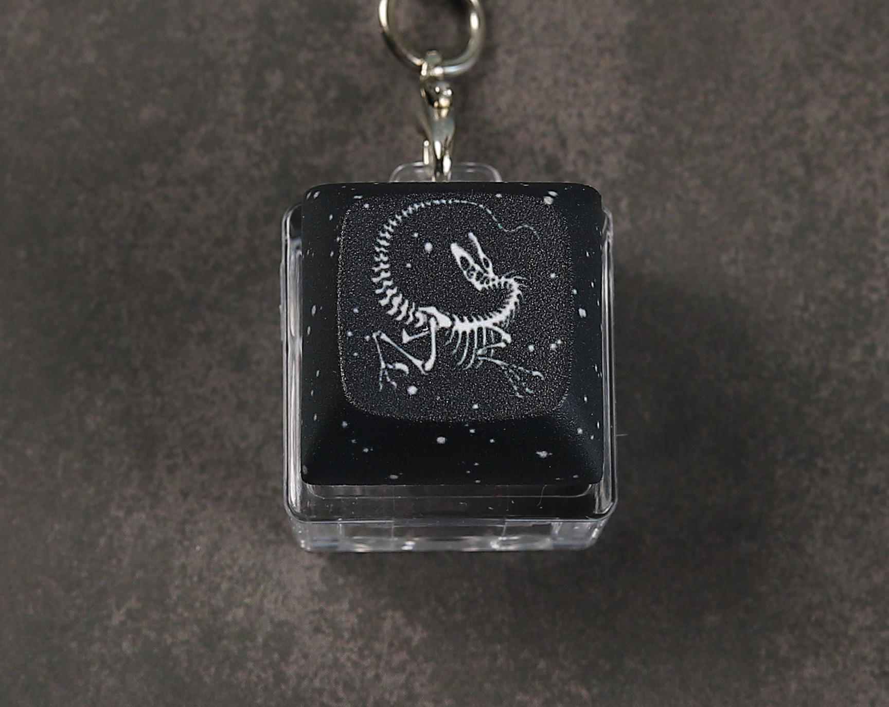 Velociraptor Skeleton Clicky Keychain