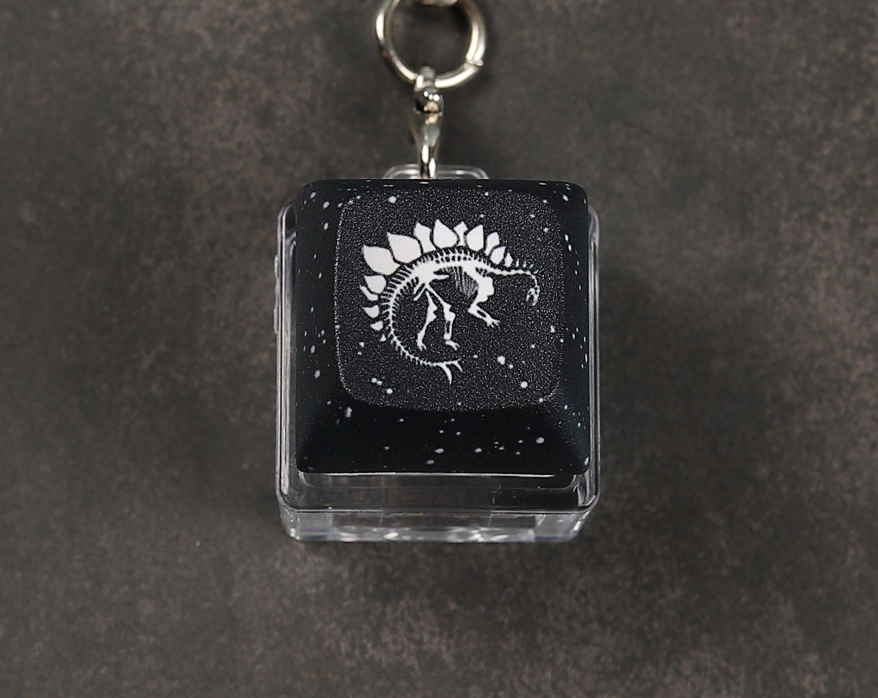 Stegosaurus Skeleton Clicky Keychain