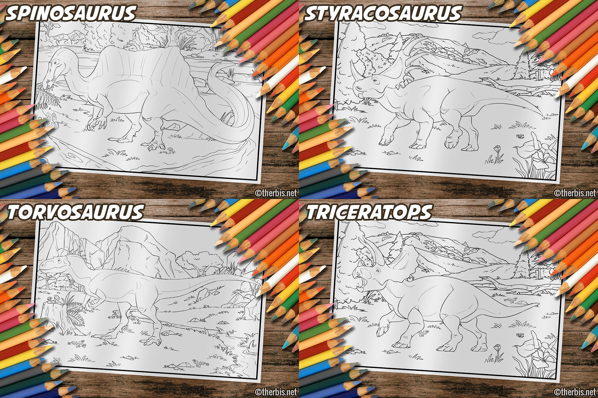 Dinosaur Coloring Book
