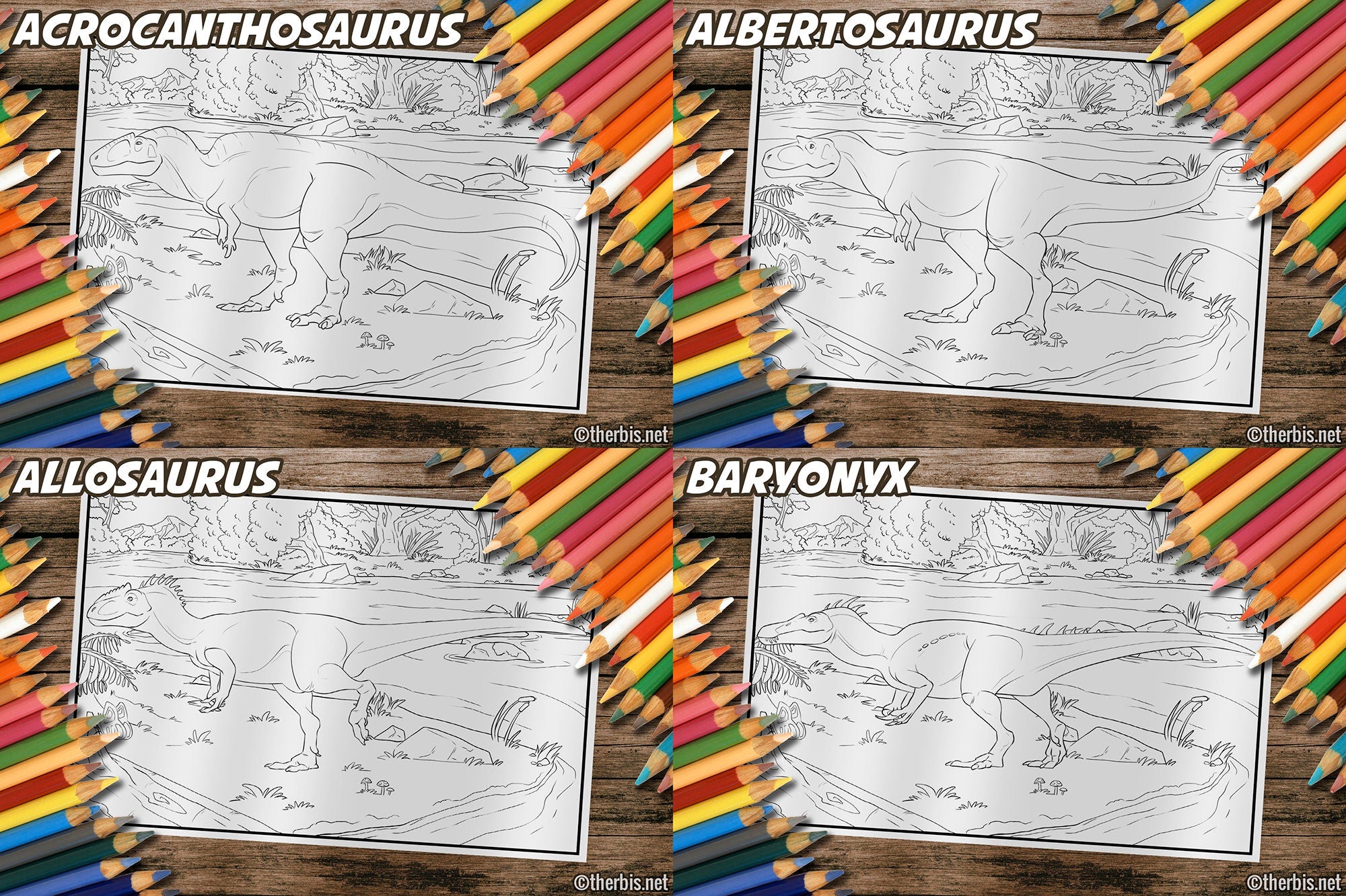 Dinosaur Coloring Book