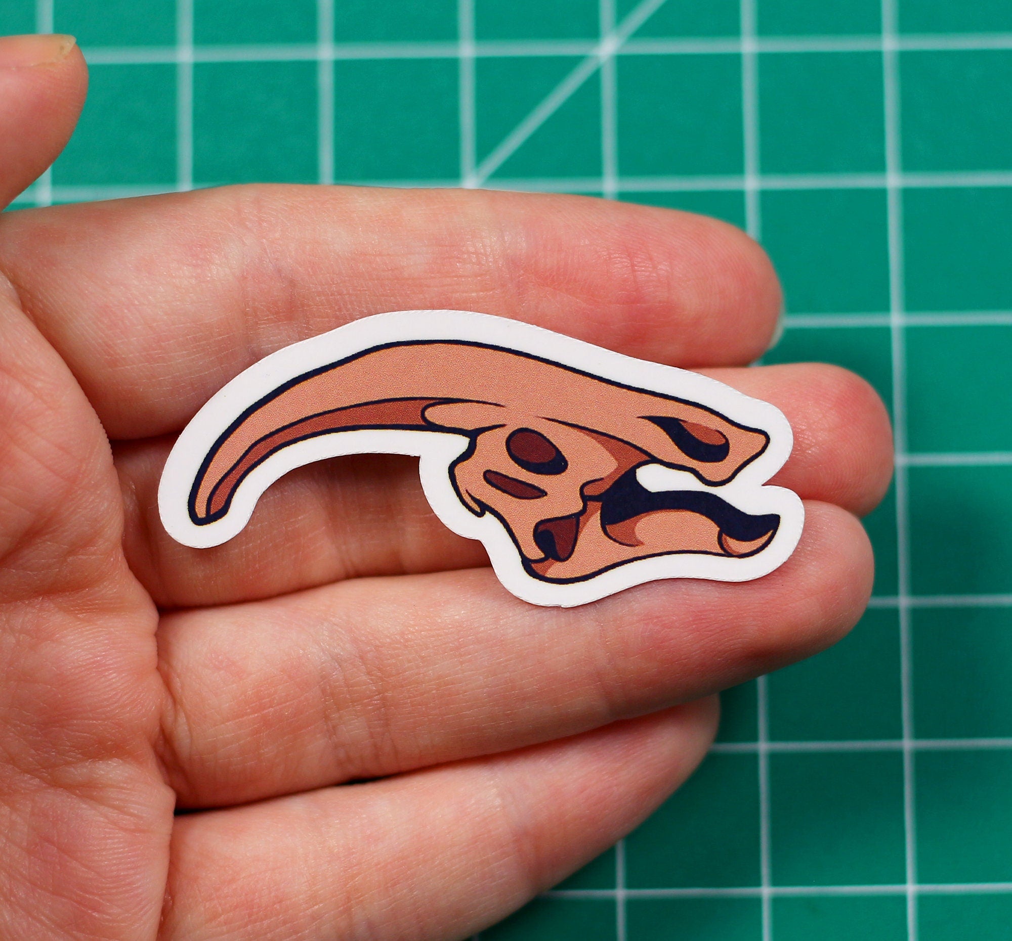 Dinosaur Skulls Vinyl Stickers
