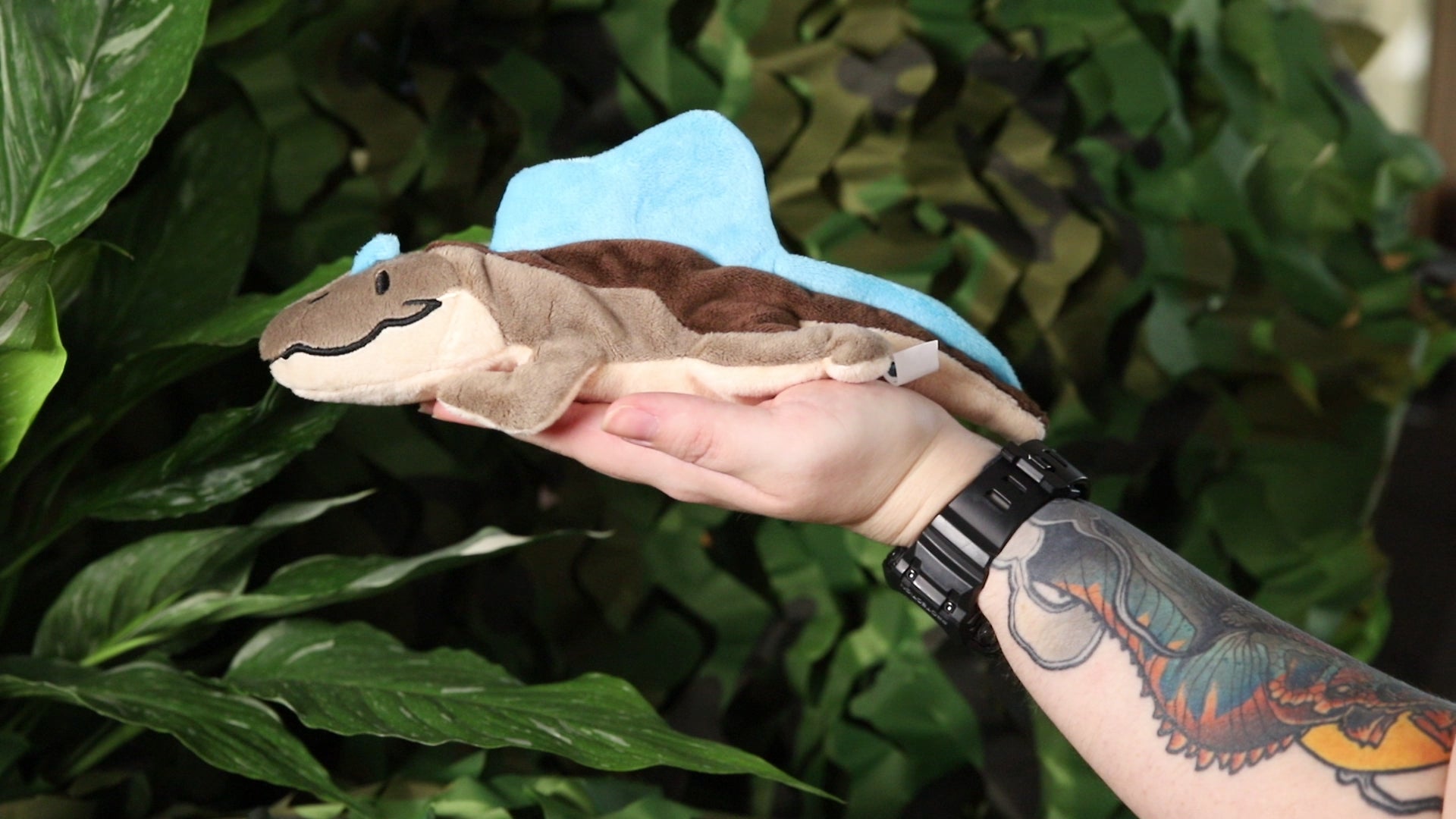 Spooni the Spinosaurus