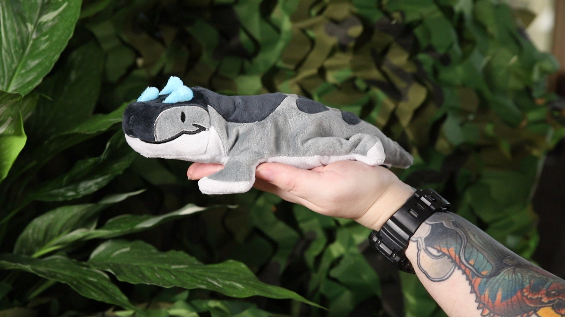 Cash the Ceratosaurus