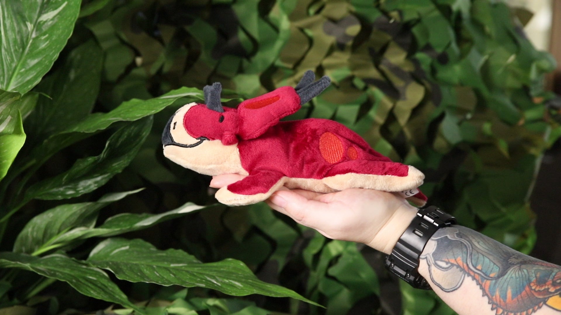 Dalia the Diabloceratops