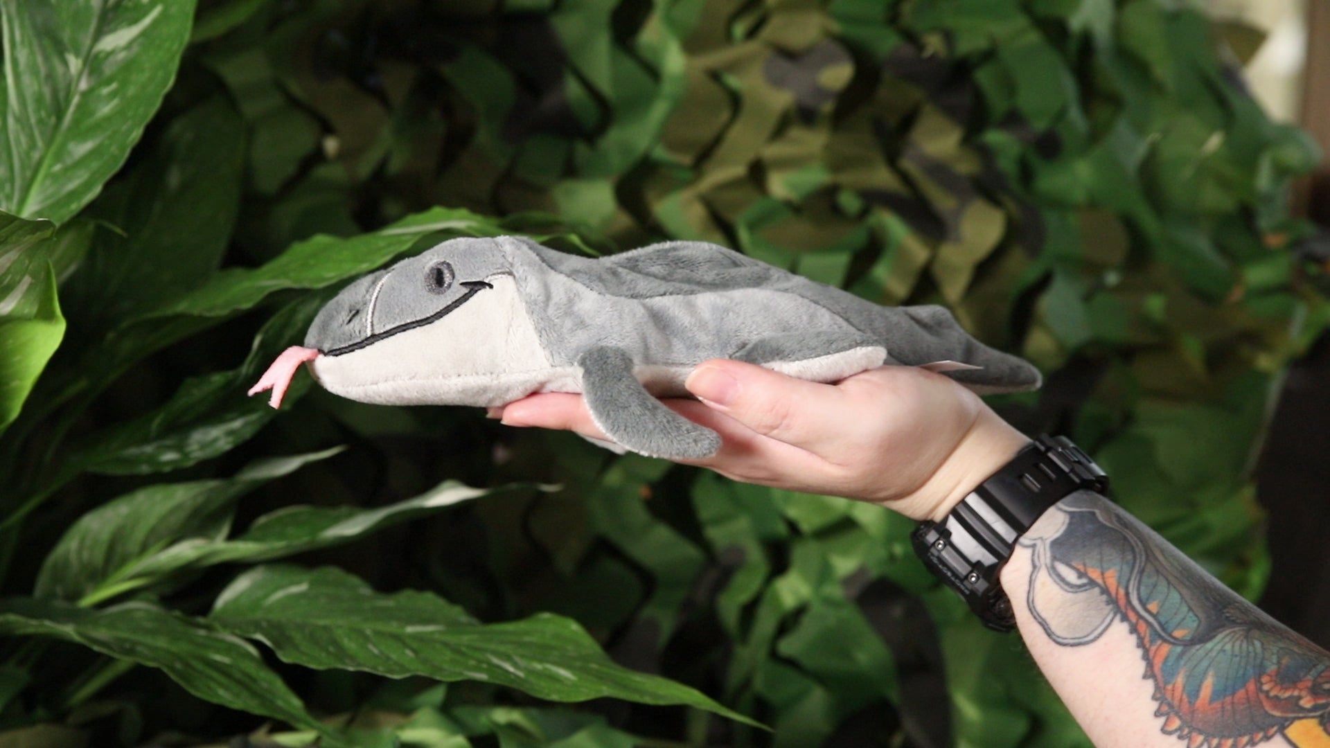 Monty the Mosasaurus
