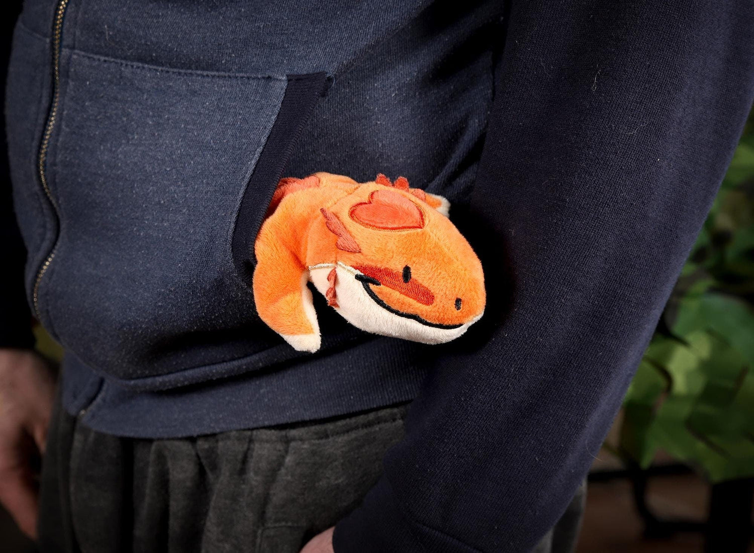 PocketPets