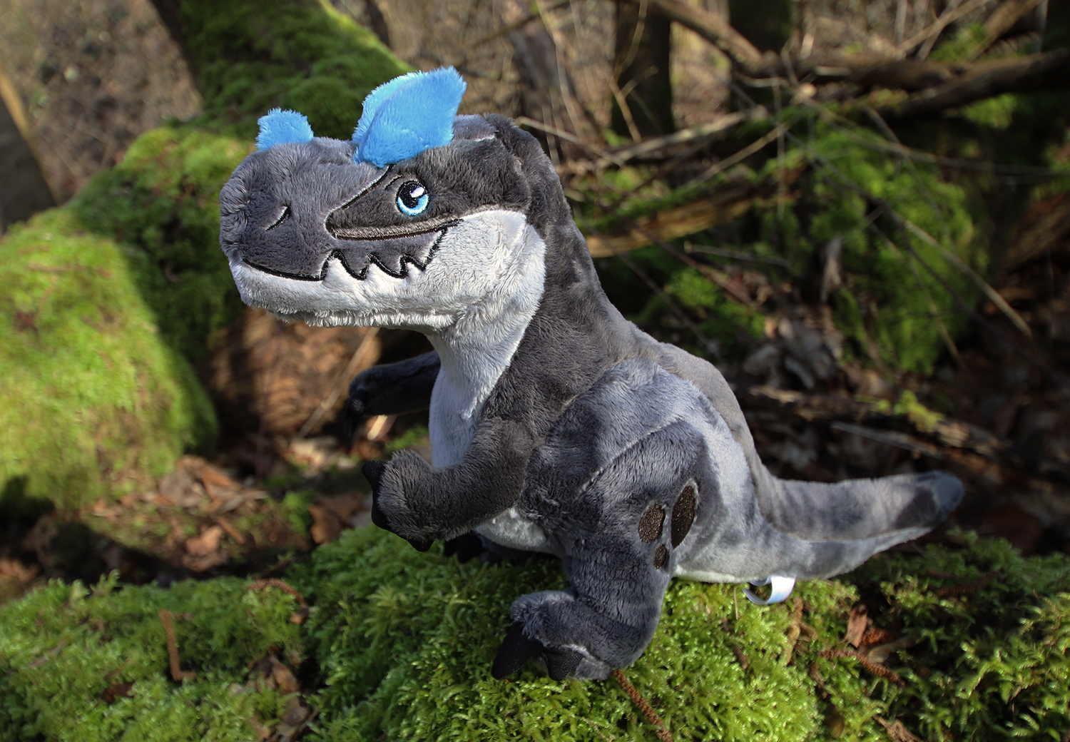 Cooper the Ceratosaurus