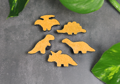 Dino Nugget Set