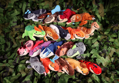 Pasha the Parasaurolophus