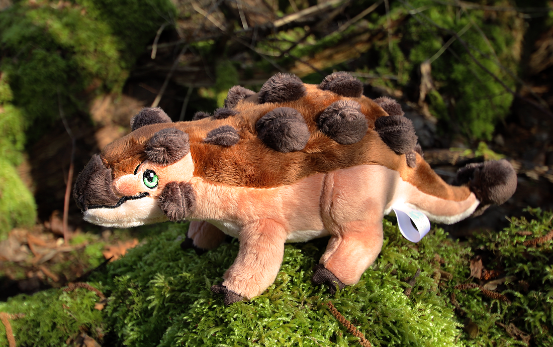 Angus the Ankylosaurus