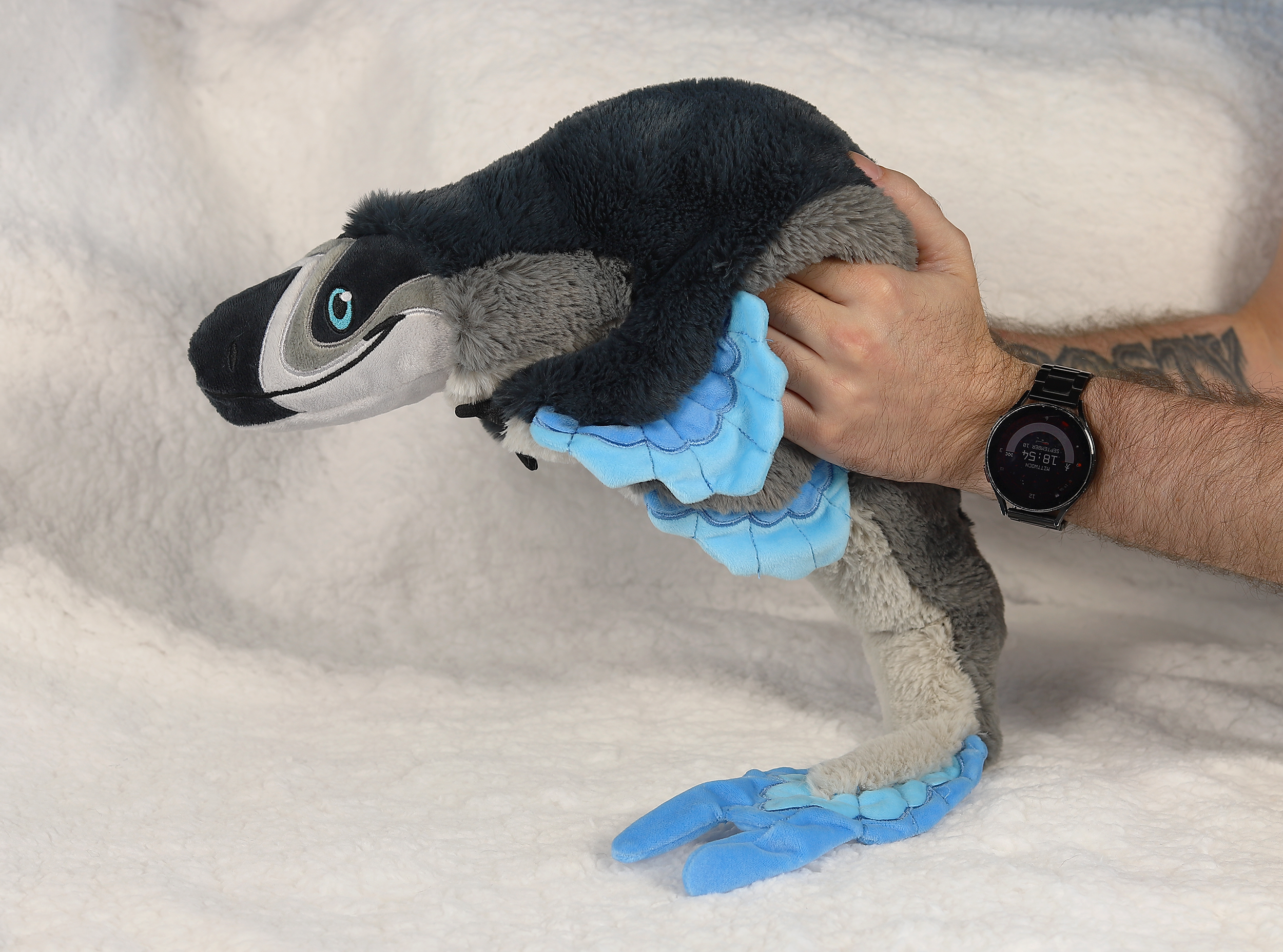 Maddox the Microraptor