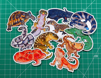 Ackie Monitor Vinyl Sticker
