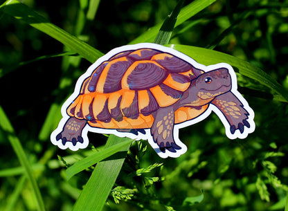 Greek Tortoise Vinyl Sticker