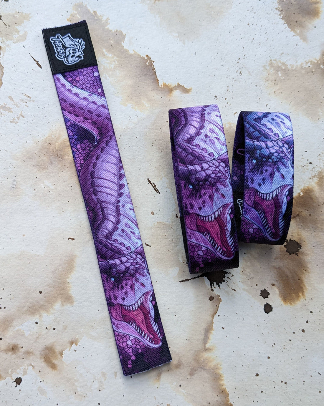 Carnotaurus Wristband - Be headstrong