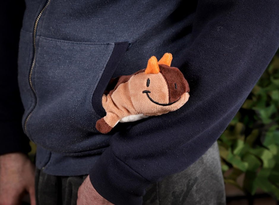 Pocketsaurus – TherbisStudio