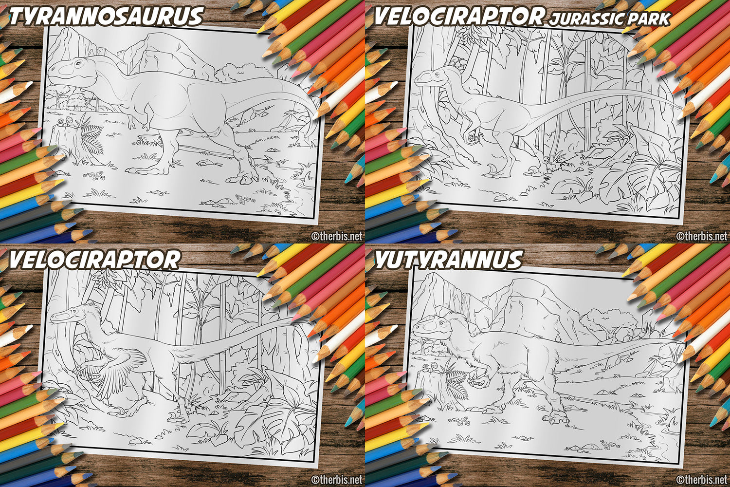 Dinosaur Coloring Book