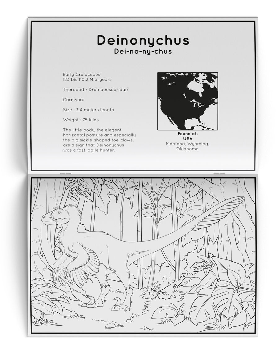 Dinosaur Coloring Book