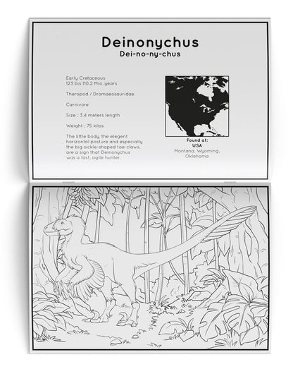 Dinosaur Coloring Book