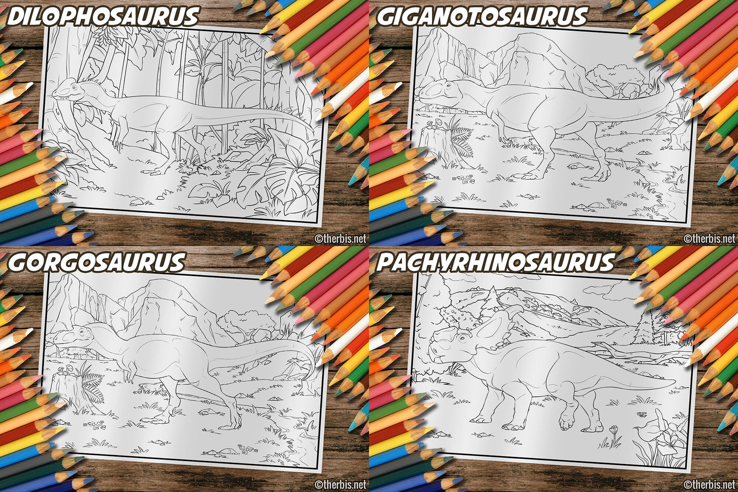 Dinosaur Coloring Book