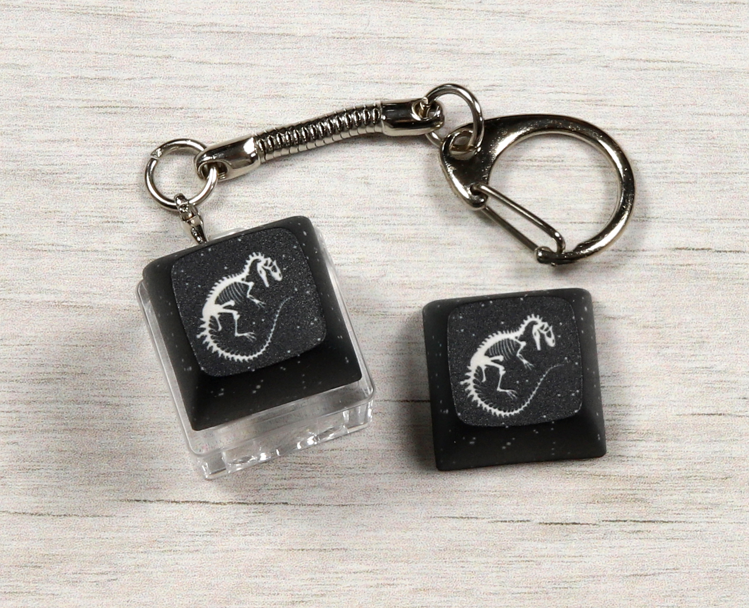 Allosaurus Skeleton Clicky Keychain