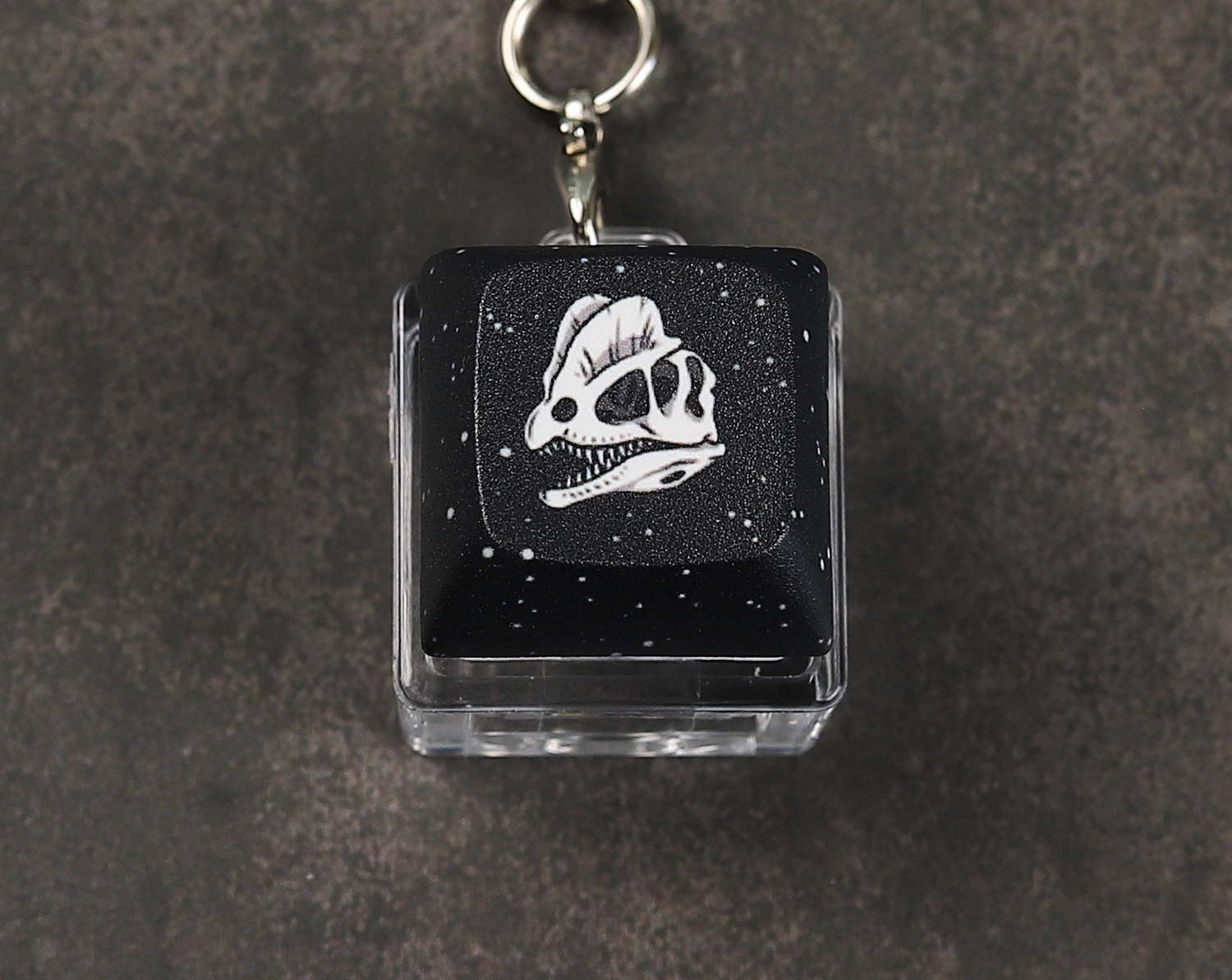 Dilophosaurus Skull Clicky Keychain