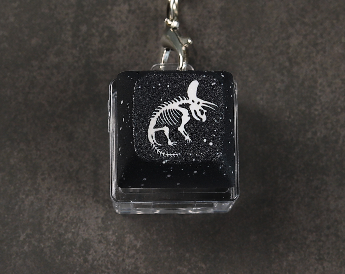 Triceratops Skeleton Clicky Keychain