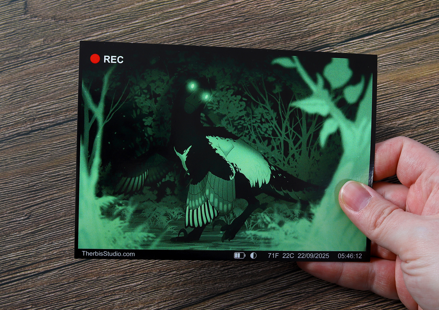 Wildlife Cam - Raptor - Postcard