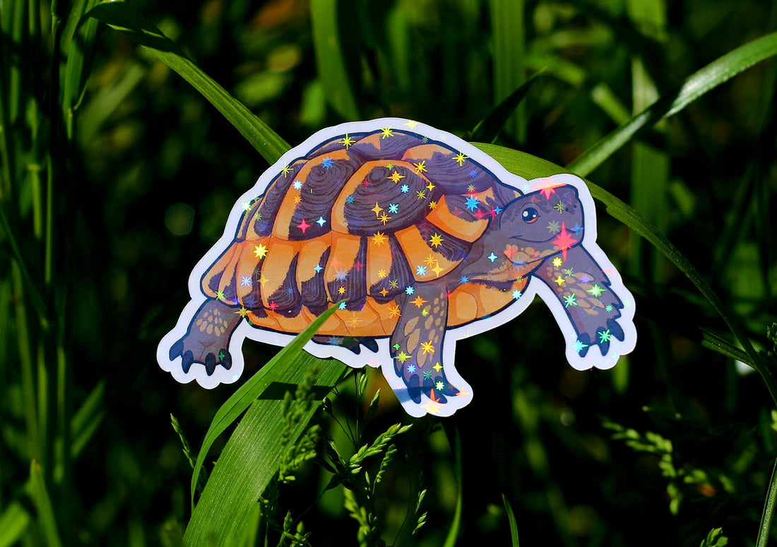 Greek Tortoise Vinyl Sticker