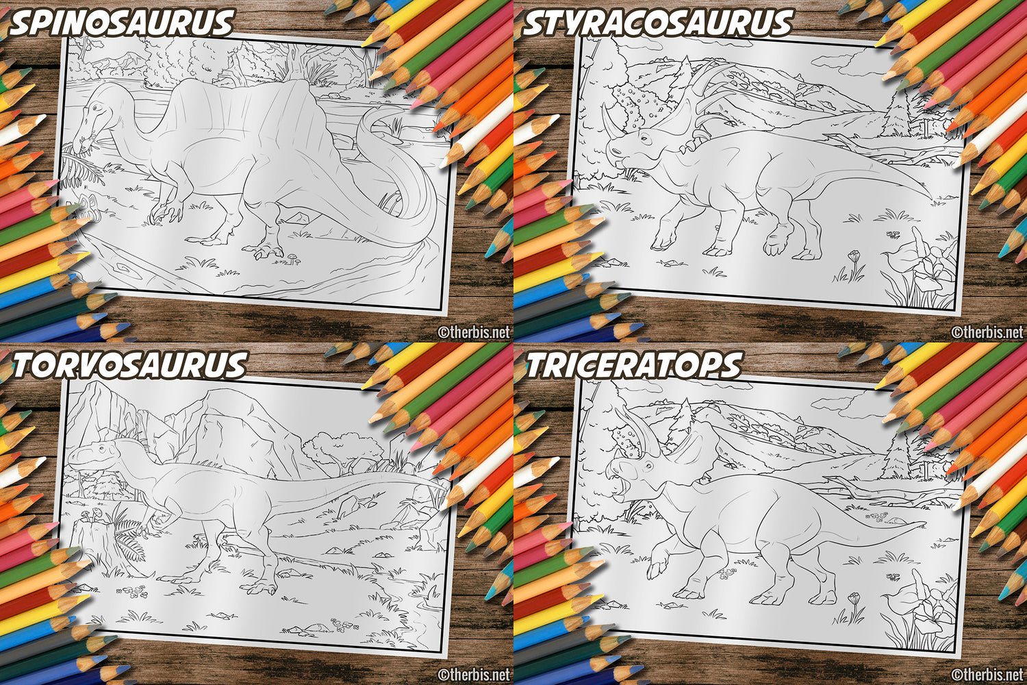 Dinosaur Coloring Book