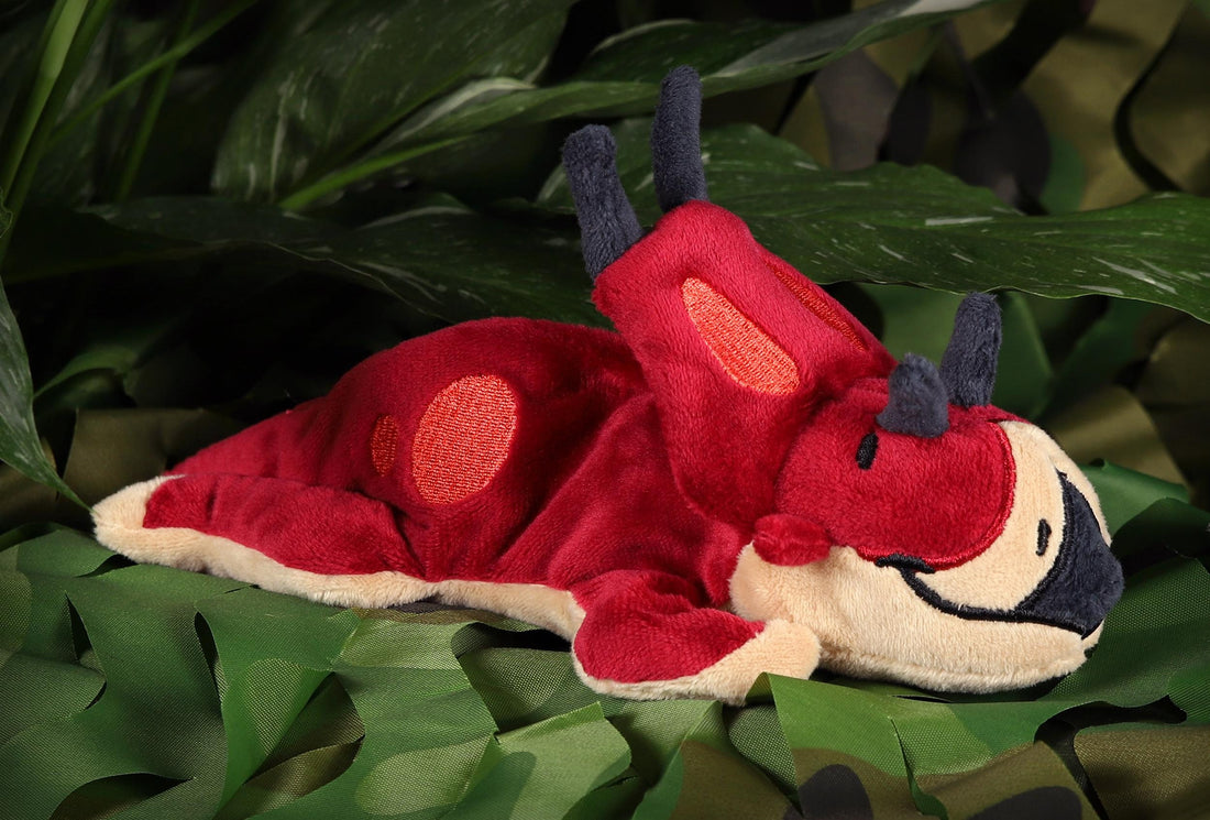 Dalia the Diabloceratops