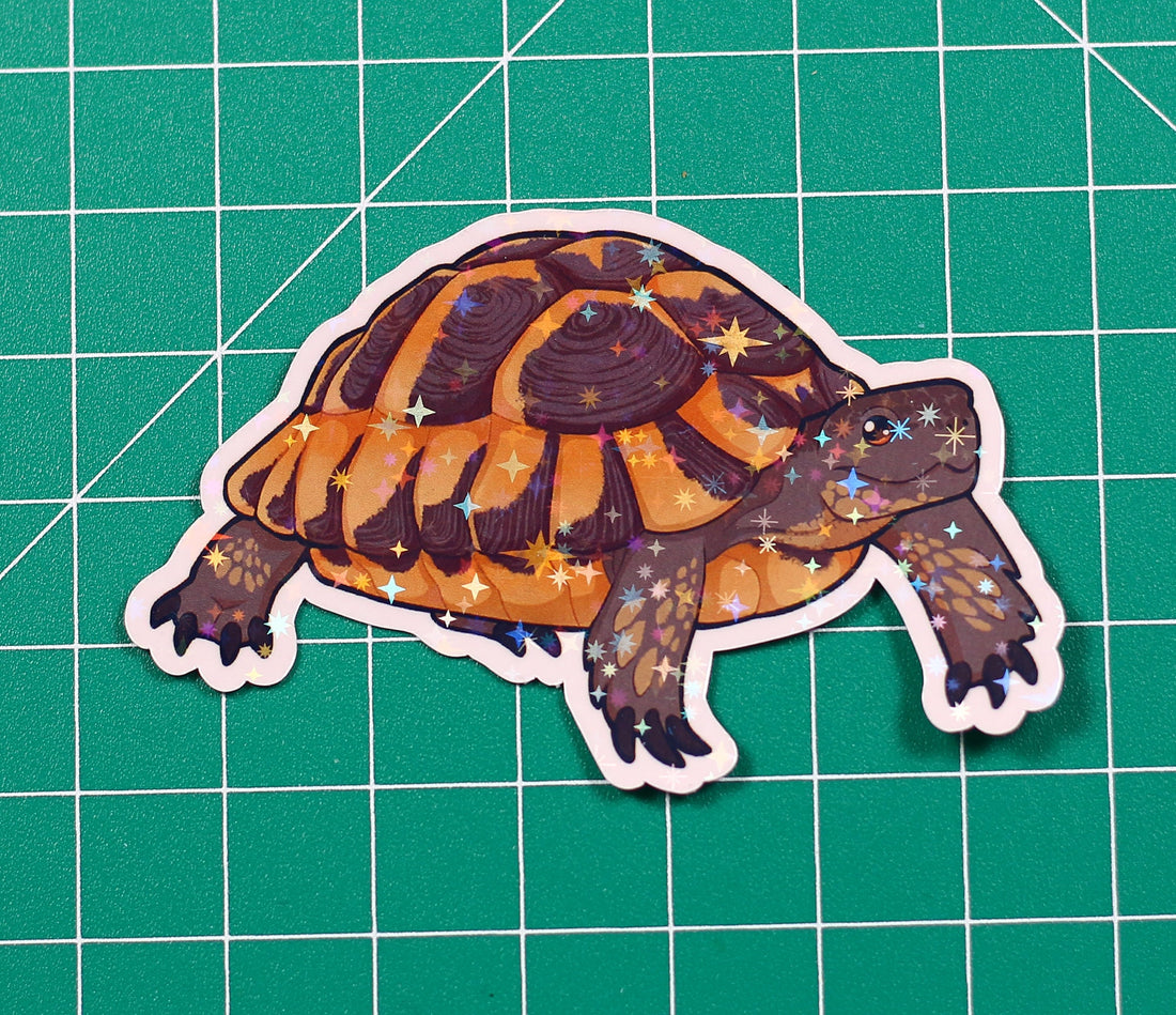 Greek Tortoise Vinyl Sticker