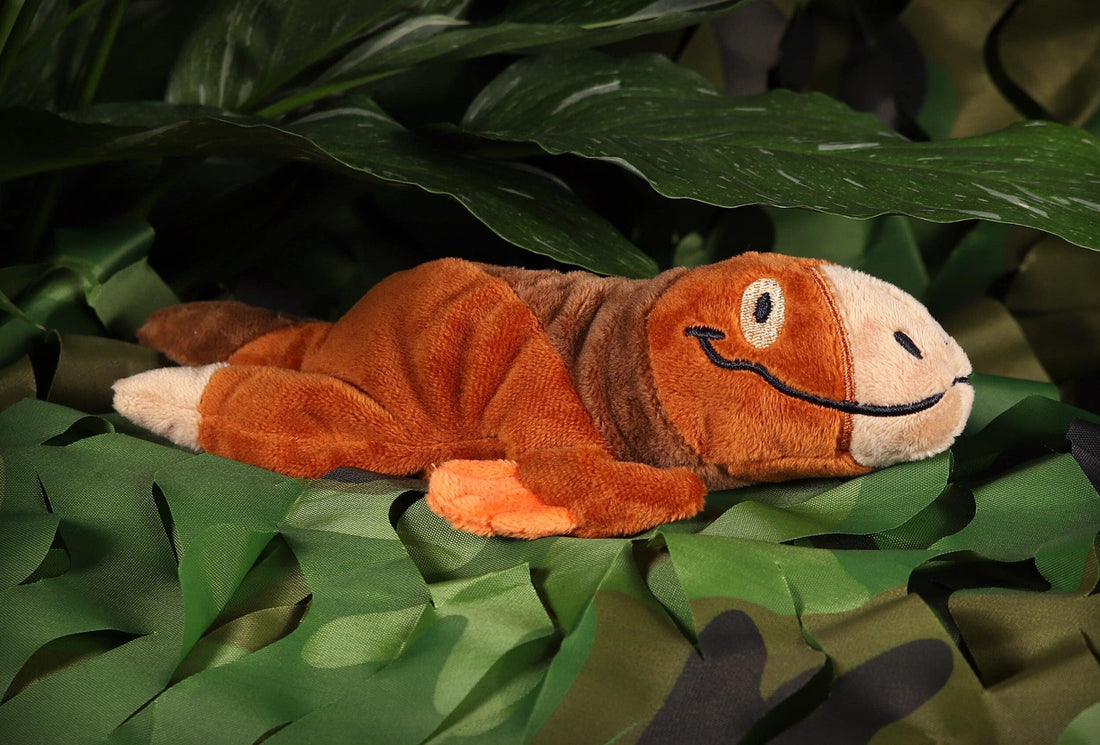 Velcan the Velociraptor