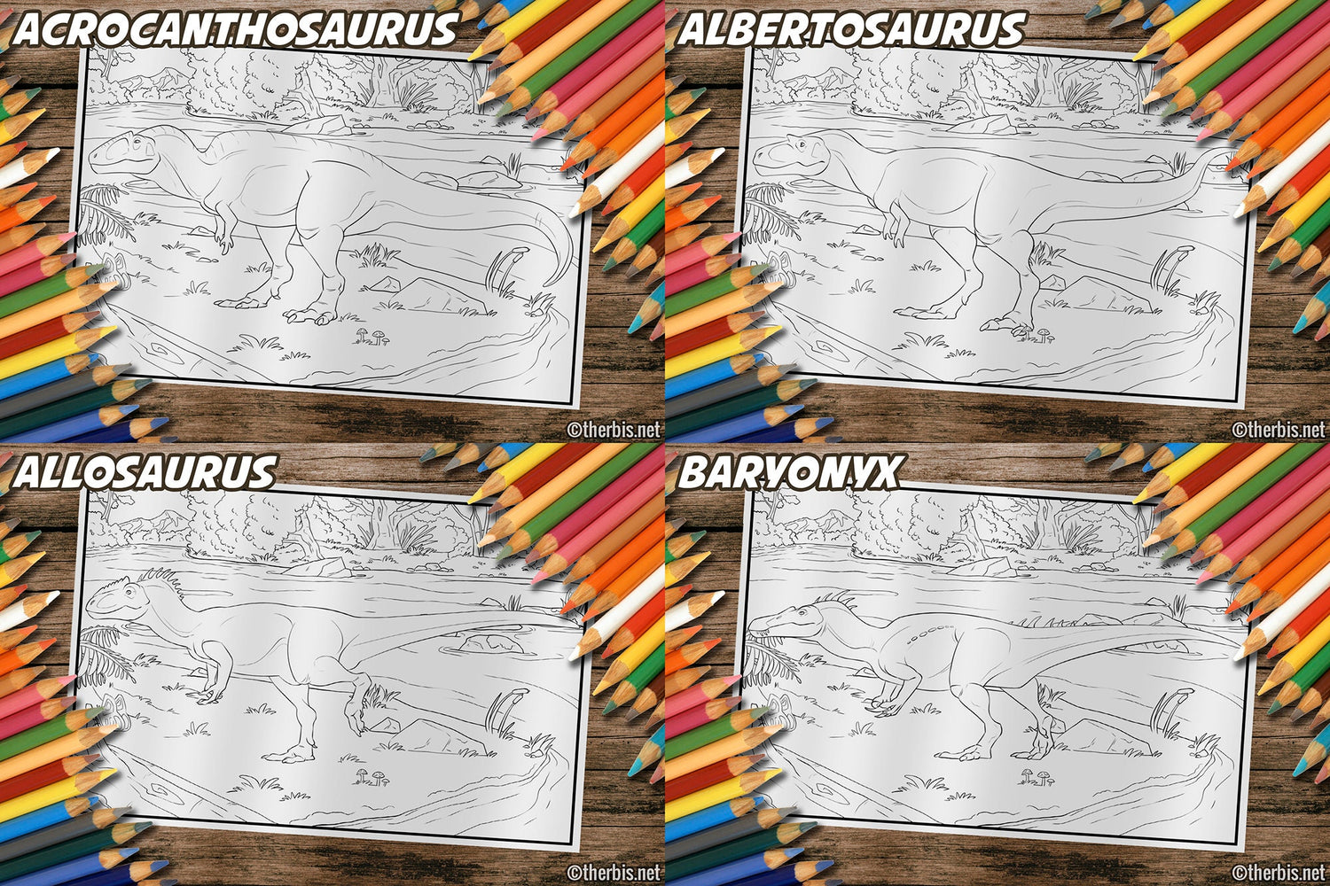 Dinosaur Coloring Book