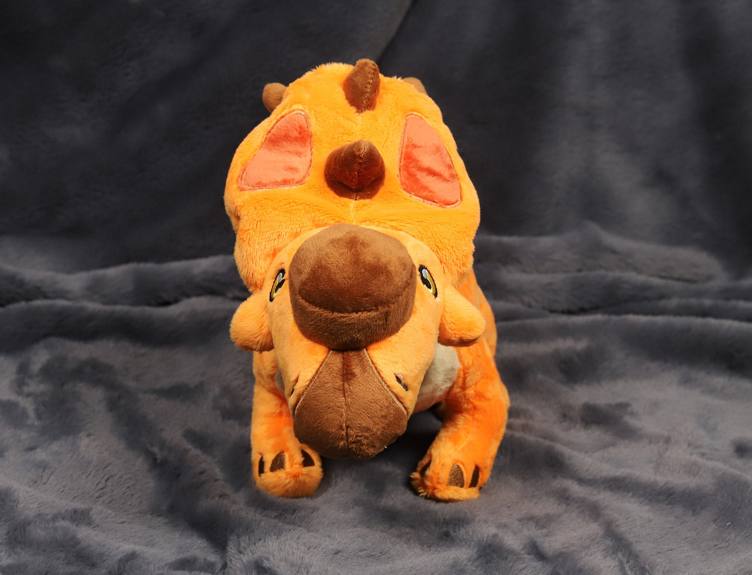 Pavo the Pachyrhinosaurus