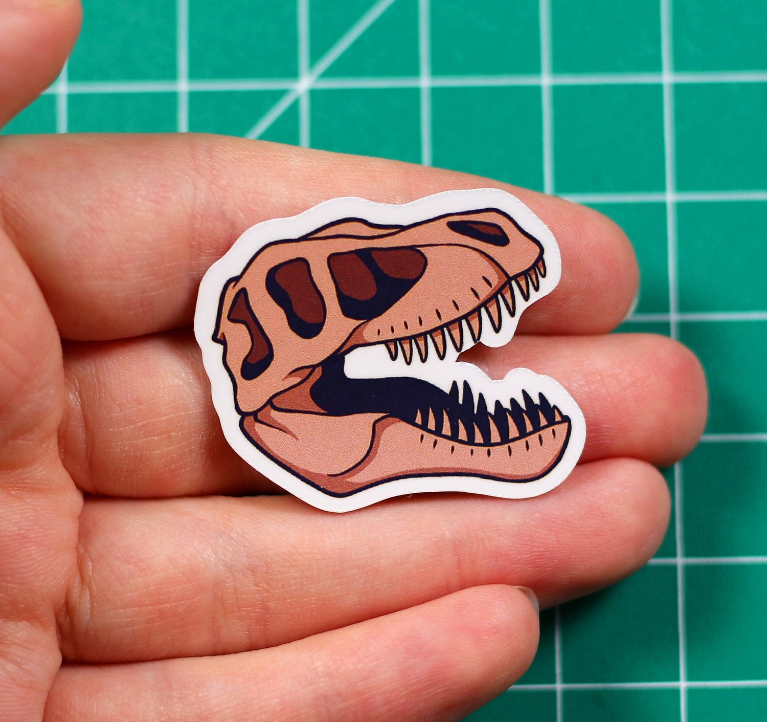 Dinosaur Skulls Vinyl Stickers