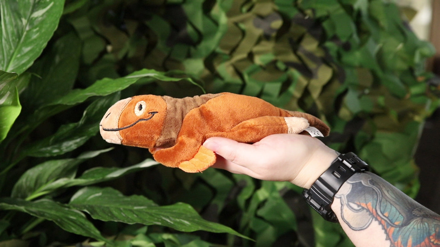 Velcan the Velociraptor